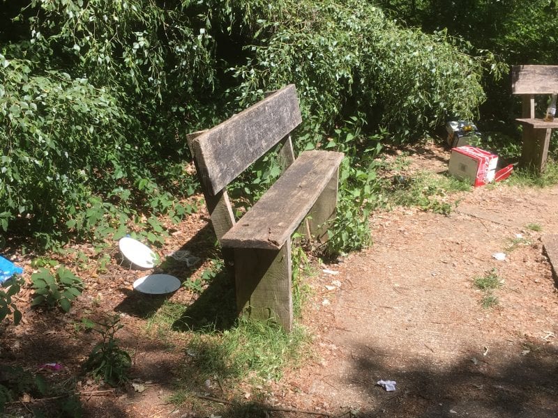 Paper plates and empty boxes of beer - just some of the litter being left behind by visitors